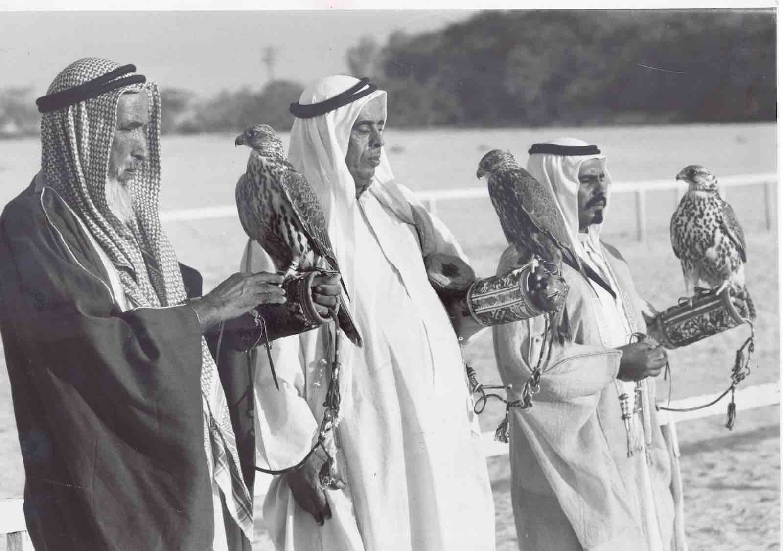 Original press photograph, Falcony in the UAE, 1972