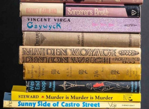 Some of the Haud Nominandum items that will now be made accessible