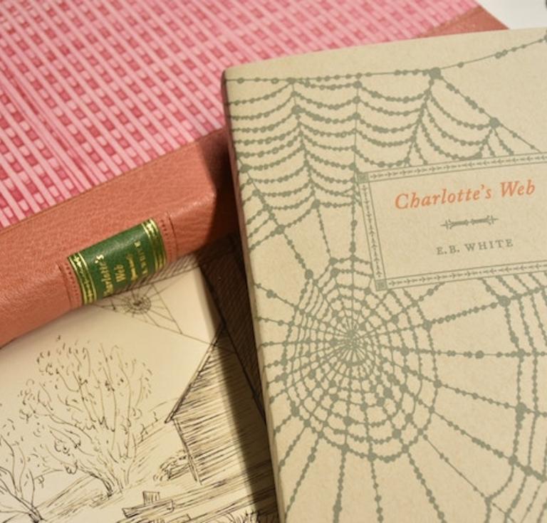Charlotte's Web kickstarter project cover