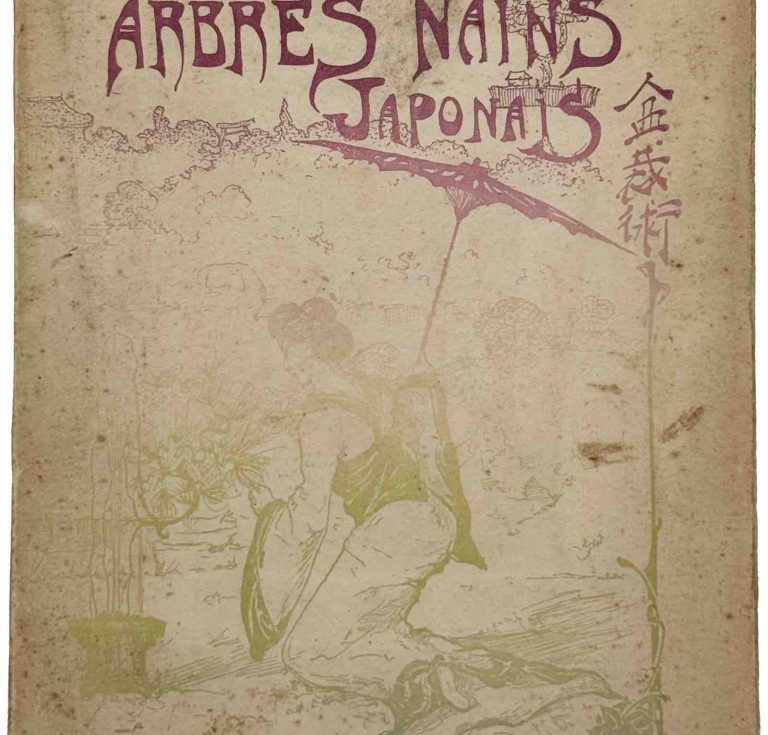 Les Abres Nains Japonais