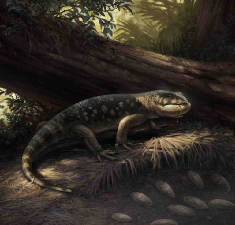 Artistic reconstruction of Bolg amondol, depicted raiding an oviraptorosaur dinosaur nest amidst the lush Kaiparowits Formation habitat